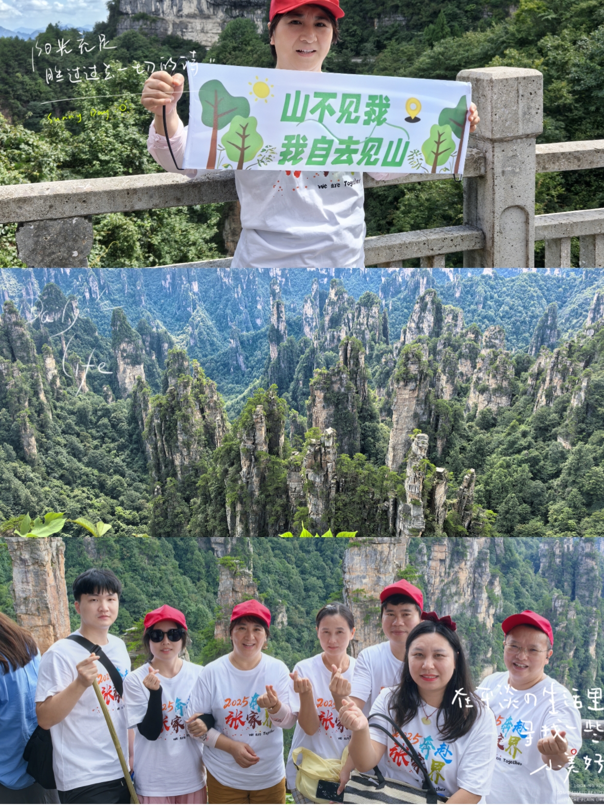 山不見我，我自去見山.jpg